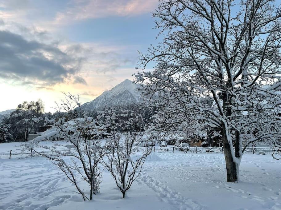 Cloud Garden Maisonette Appartement Spiez